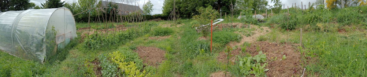 Notre potager raisonné et sa biodiversité